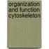 Organization and function cytoskeleton