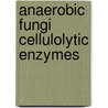 Anaerobic fungi cellulolytic enzymes by Teunissen