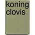 Koning clovis