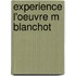 Experience l'oeuvre m blanchot