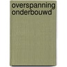 Overspanning onderbouwd door B. Terluin