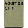 Voornes Duin door J. van der Lecq