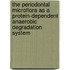 The periodontal microflora as a protein-dependent anaerobic degradation system