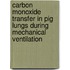 Carbon monoxide transfer in pig lungs during mechanical ventilation