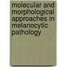 Molecular and morphological approaches in melanocytic pathology door P.E.J. Wit