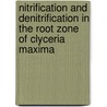 Nitrification and denitrification in the root zone of clyceria maxima by P.L.E. Bodelier