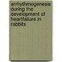 Arrhythmogenesis during the development of heartfailure in rabbits