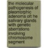 The molecular pathogenesis of pleomorphic adenoma oft he salivary glands with genetic aberrations involving chromosome segment