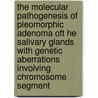 The molecular pathogenesis of pleomorphic adenoma oft he salivary glands with genetic aberrations involving chromosome segment by J. Geurts