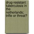 Drug-resistant tuberculosis in the Netherlands; trifle or threat?