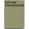 Articular chondrocytes door B. Beekman