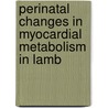 Perinatal changes in myocardial metabolism in lamb door B. Bartelds