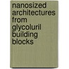 Nanosized architectures from glycoluril building blocks door J.A.A.W. Elemans