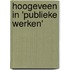 Hoogeveen in 'publieke werken'