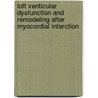Loft venticular dysfunction and remodeling after myocordial infarction door D.B. Haitsma