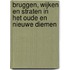 Bruggen, wijken en straten in het oude en nieuwe Diemen