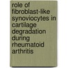 Role of fibroblast-like synoviocytes in cartilage degradation during rheumatoid arthritis by T.C.A. Tolboom