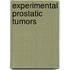 Experimental prostatic tumors