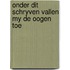 Onder dit schryven vallen my de oogen toe