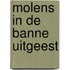 Molens in de banne uitgeest