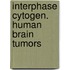 Interphase cytogen. human brain tumors