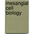 Mesangial cell biology