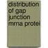 Distribution of gap junction mrna protei