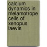 Calcium dynamics in melamotrope cells of Xenopus laevis door W.J.J.M. Scheenen