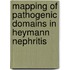 Mapping of pathogenic domains in Heymann nephritis