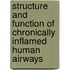 Structure and function of chronically inflamed human airways