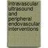 Intravascular ultrasound and peripheral endovascular interventions