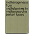 Methanogenesis from methylamines in methanosarcina barkeri Fusaro