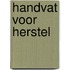 Handvat voor herstel