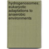 Hydrogenosomes: eukaryotic adaptations to anaerobic environments door F.G.J. Voncken