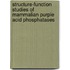 Structure-function studies of mammalian purple acid phosphatases