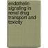 Endothelin signaling in renal drug transport and toxicity