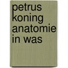 Petrus Koning Anatomie in was by Unknown