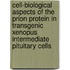 Cell-biological aspects of the prion protein in transgenic Xenopus intermediate pituitary cells