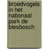 Broedvogels in het Nationaal Park De Biesbosch