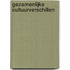 Gezamenlijke cultuurverschillen