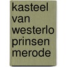 Kasteel van westerlo prinsen merode door Vannoppen