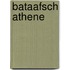 Bataafsch athene