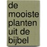 De mooiste planten uit de Bijbel