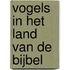 Vogels in het land van de Bijbel