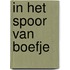 In het spoor van boefje