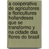 A cooperativa de agricultores e floricultures Hollandeses que se transformo y na cidade das flores do Brasil