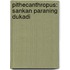 Pithecanthropus: Sankan paraning dukadi