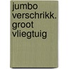 Jumbo verschrikk. groot vliegtuig by Carel Damste