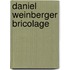 Daniel Weinberger bricolage