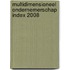 Multidimensioneel Ondernemerschap Index 2008